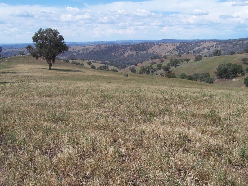 141 Blackmans Road, Bigga NSW 2583