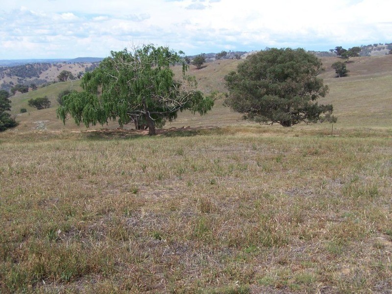 141 Blackmans Road, Bigga NSW 2583