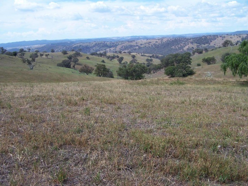 141 Blackmans Road, Bigga NSW 2583