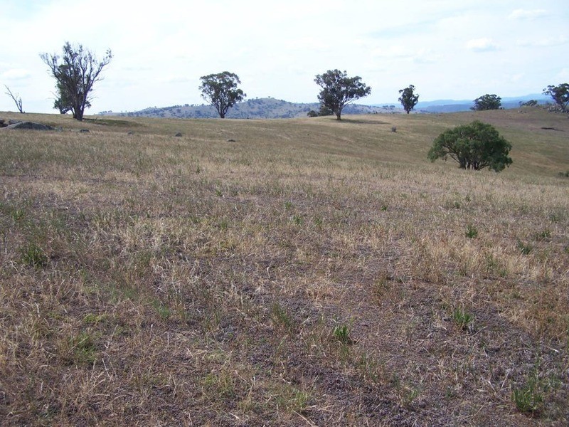 141 Blackmans Road, Bigga NSW 2583