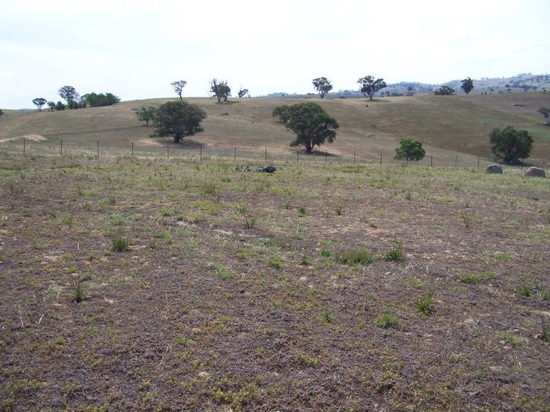 141 Blackmans Road, Bigga NSW 2583