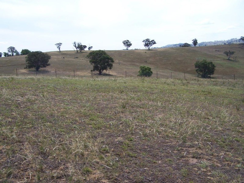 141 Blackmans Road, Bigga NSW 2583