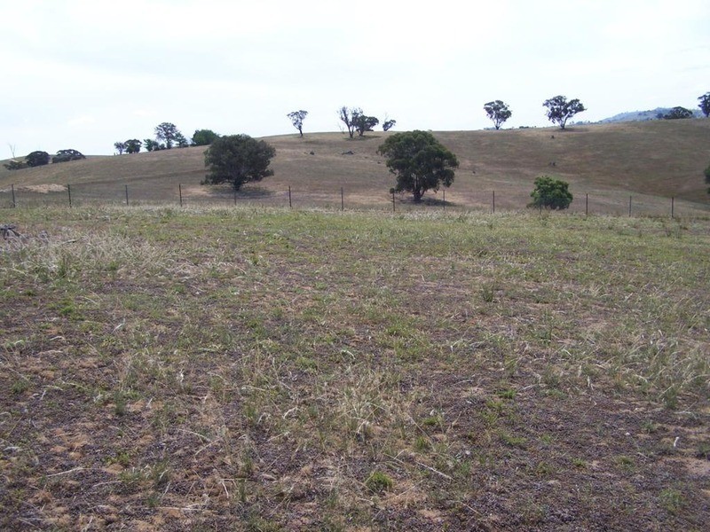 141 Blackmans Road, Bigga NSW 2583