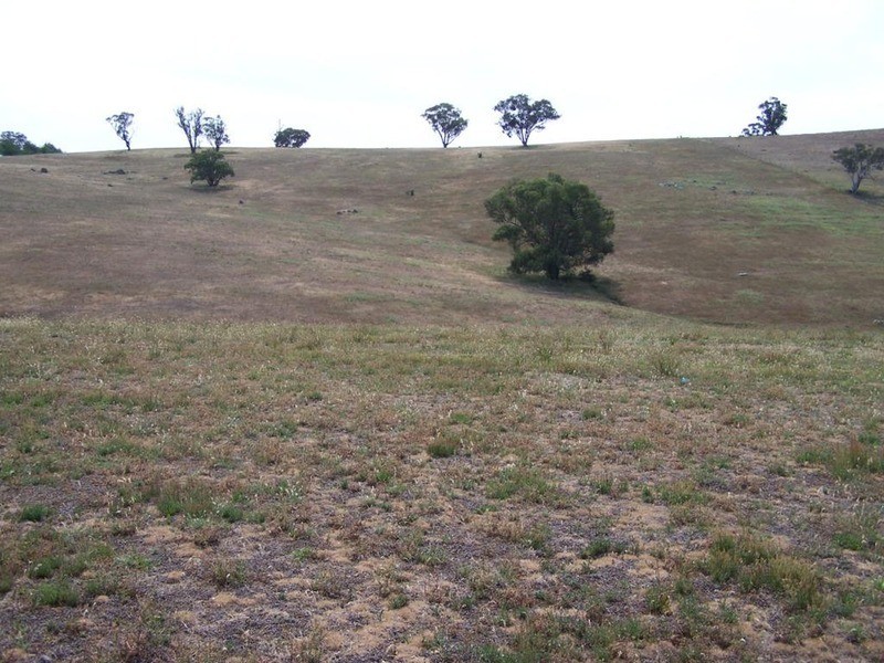 141 Blackmans Road, Bigga NSW 2583