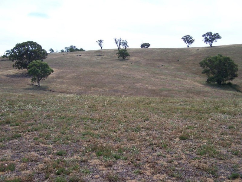 141 Blackmans Road, Bigga NSW 2583