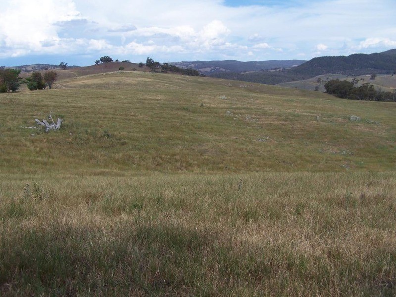 141 Blackmans Road, Bigga NSW 2583