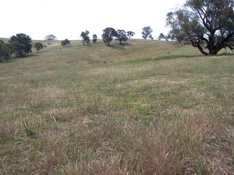 141 Blackmans Road, Bigga NSW 2583