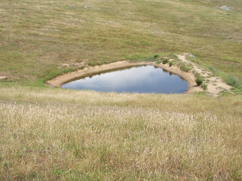 141 Blackmans Road, Bigga NSW 2583