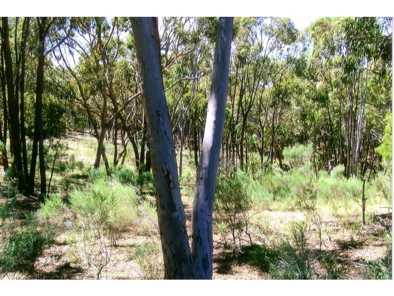 Lot 3 Mullengrove Road, Bevendale NSW 2581