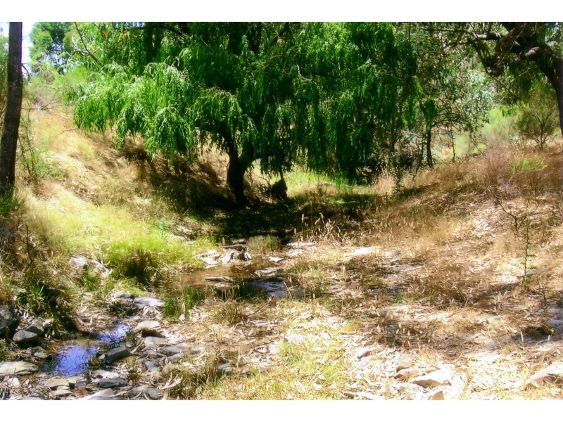 Lot 3 Mullengrove Road, Bevendale NSW 2581