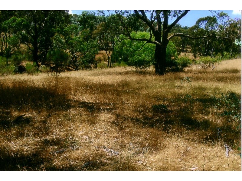 Lot 3 Mullengrove Road, Bevendale NSW 2581