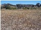 Lot 1 Mullengrove Road, Bevendale NSW 2581
