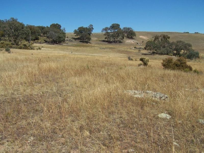 Lot 1 Mullengrove Road, Bevendale NSW 2581