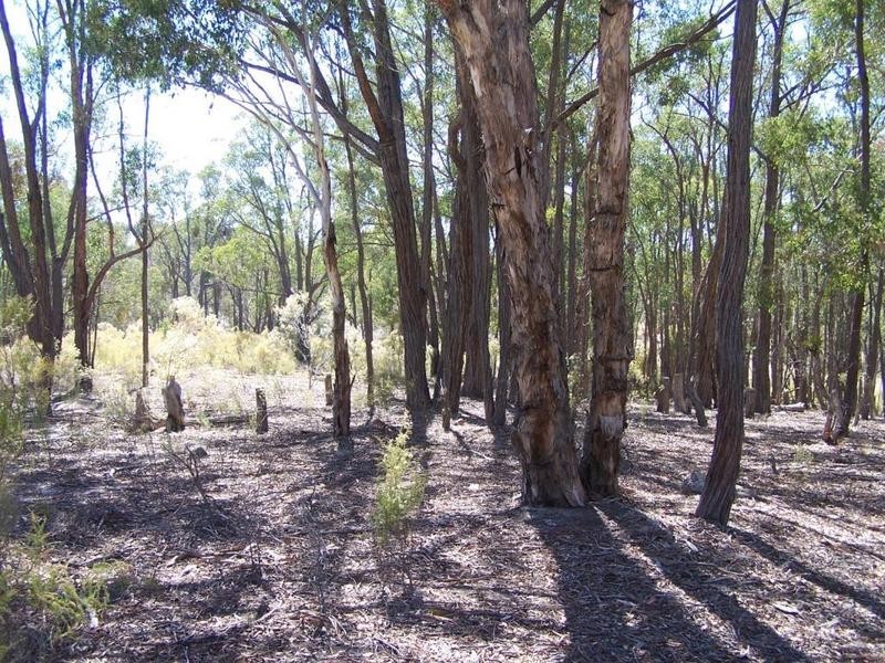 Lot 1 Mullengrove Road, Bevendale NSW 2581