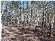 Lot 1 Mullengrove Road, Bevendale NSW 2581