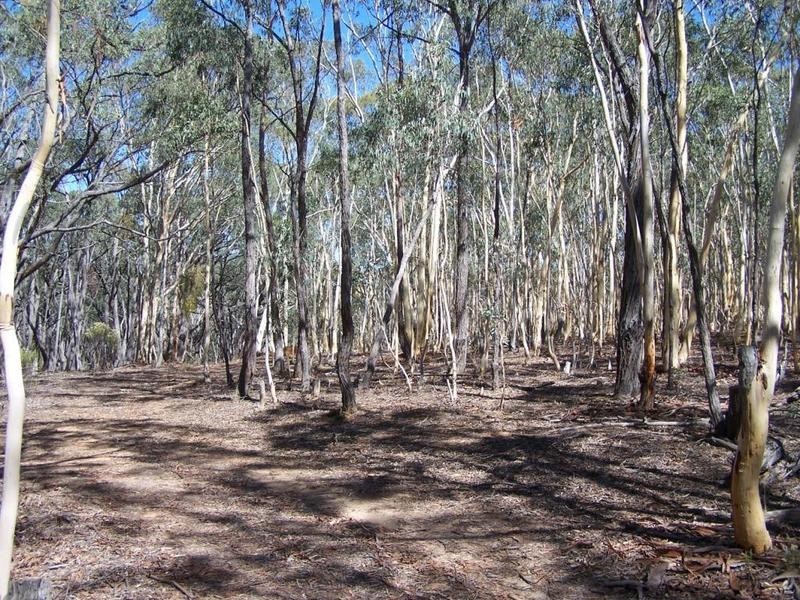 Lot 1 Mullengrove Road, Bevendale NSW 2581