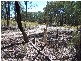 Lot 1 Mullengrove Road, Bevendale NSW 2581