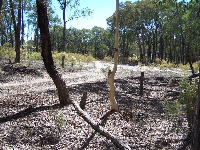 Lot 1 Mullengrove Road, Bevendale NSW 2581