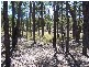 Lot 2 Mullengrove Road, Bevendale NSW 2581
