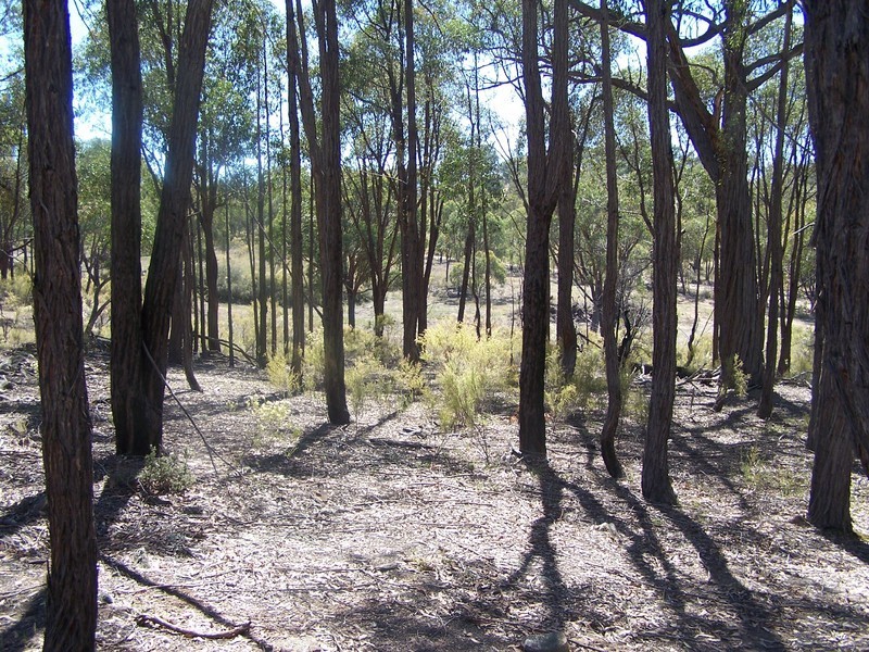 Lot 2 Mullengrove Road, Bevendale NSW 2581