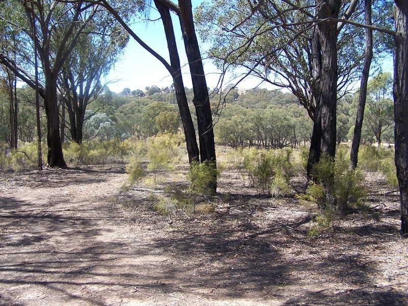 Lot 2 Mullengrove Road, Bevendale NSW 2581