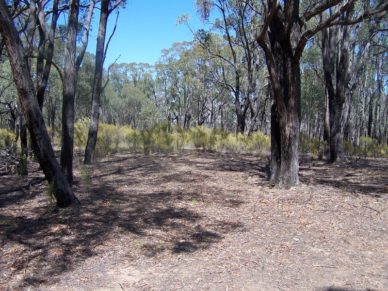 Lot 2 Mullengrove Road, Bevendale NSW 2581