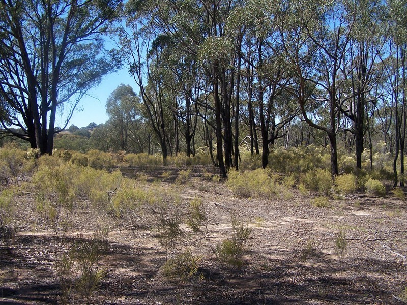 Lot 2 Mullengrove Road, Bevendale NSW 2581