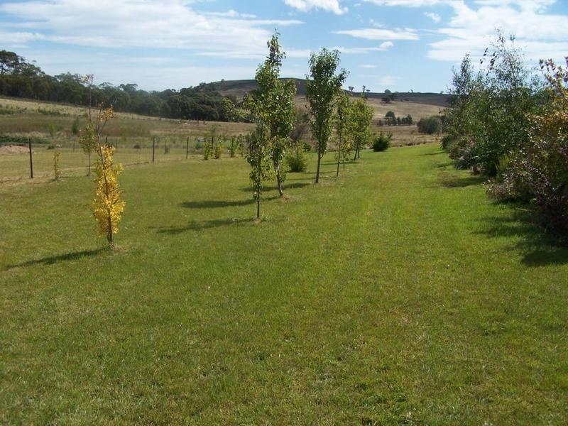 “Claret Ash” Hewitts Lane, Crookwell NSW 2583