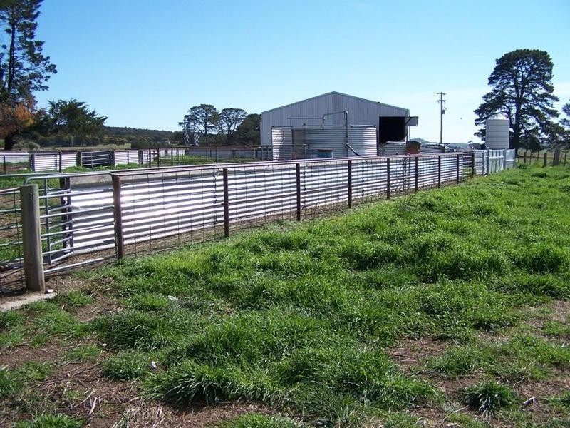 1320 Braidwood Road, Tarago NSW 2580