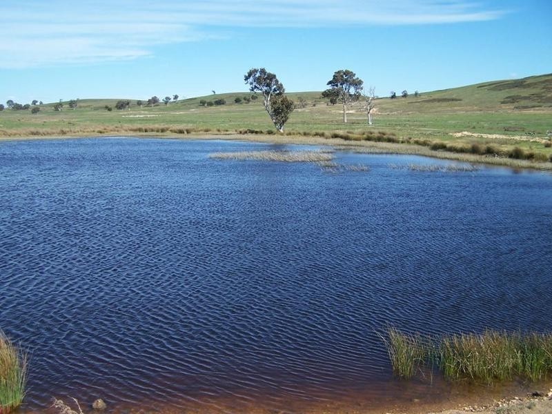 1320 Braidwood Road, Tarago NSW 2580