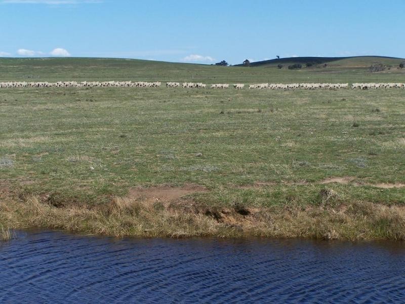 1320 Braidwood Road, Tarago NSW 2580