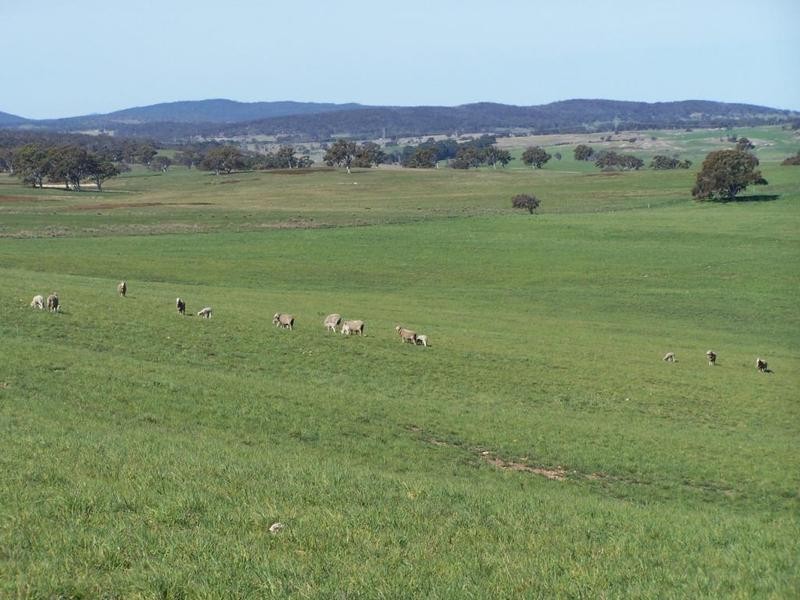 1320 Braidwood Road, Tarago NSW 2580