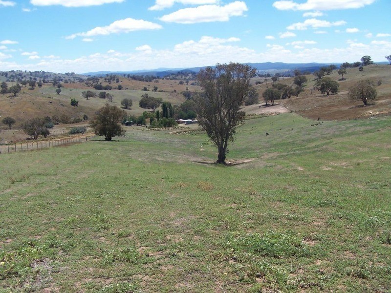 Lot 711 Blackmans Road, Bigga NSW 2583