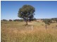 290 Run O Waters Drive, Goulburn NSW 2580