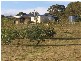 126 Wheeo Road, Grabben Gullen NSW 2583
