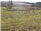126 Wheeo Road, Grabben Gullen NSW 2583