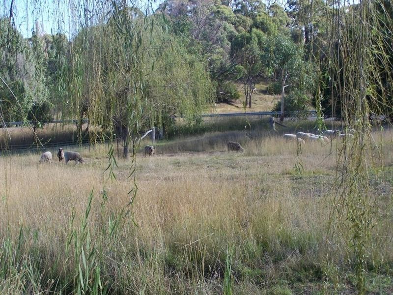 Lot 3 Boorowa Road, Wheeo NSW 2583