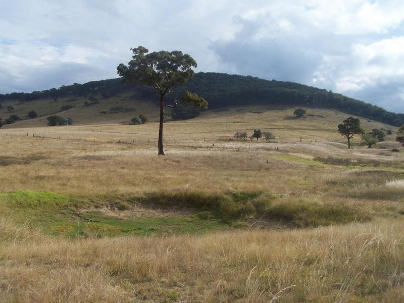 7 Apps Lane, Towrang NSW 2580