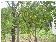 173 Clifford Street, Goulburn NSW 2580