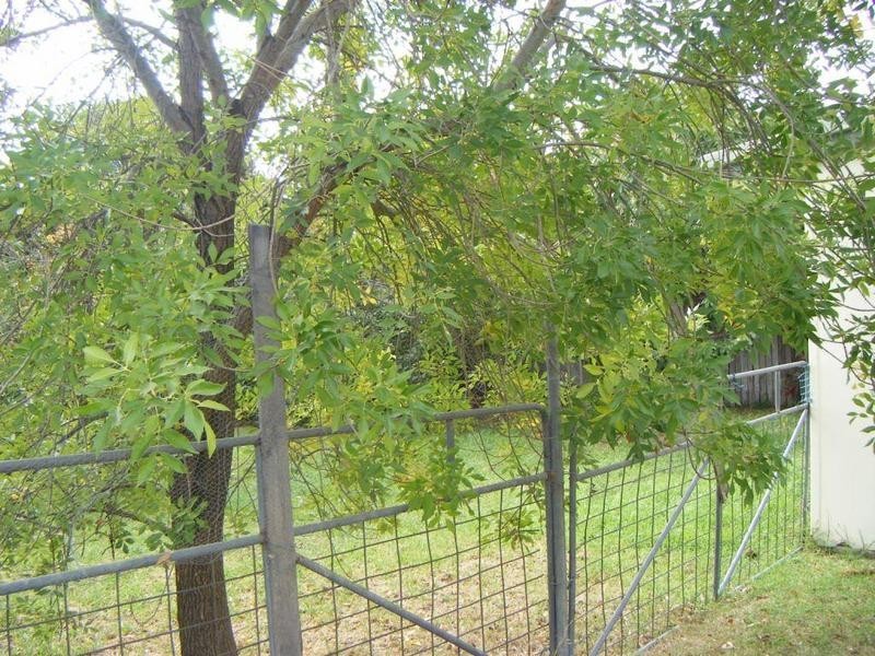 173 Clifford Street, Goulburn NSW 2580