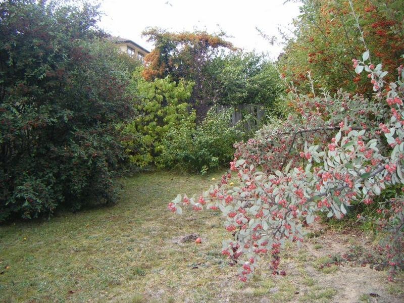 173 Clifford Street, Goulburn NSW 2580