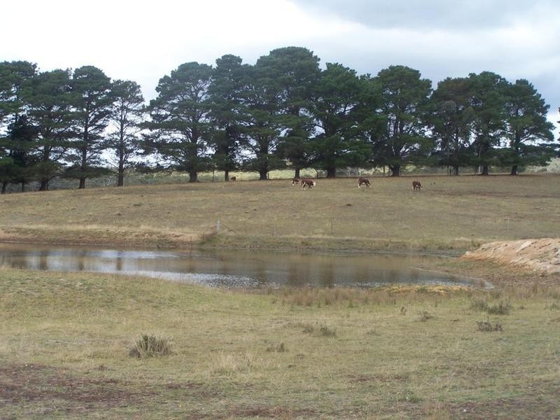1515 Taralga Road, Tarlo NSW 2580