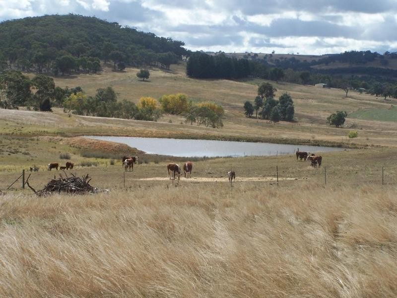 1515 Taralga Road, Tarlo NSW 2580
