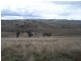 Lot 219 Off Golspie Road, Laggan NSW 2583