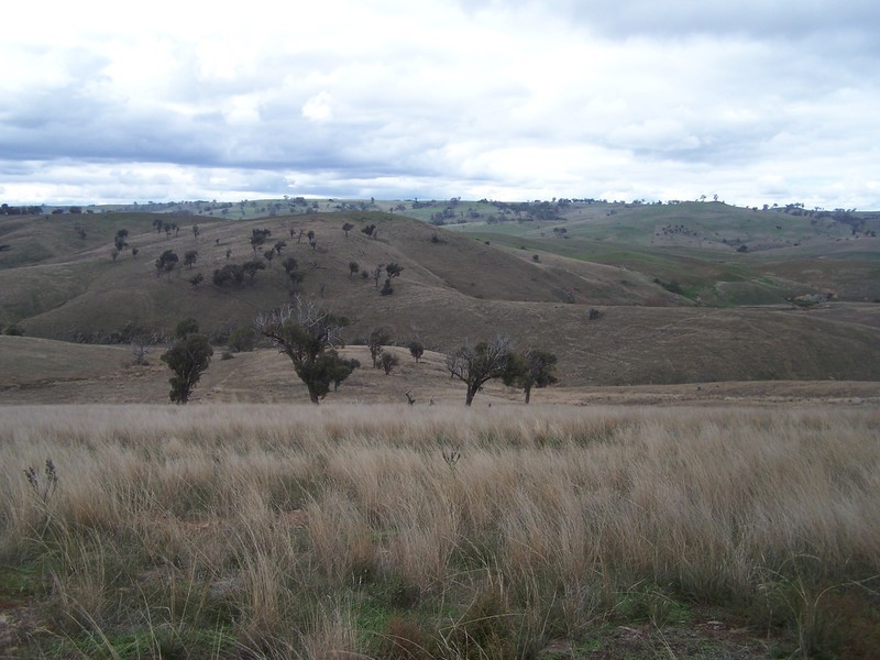 Lot 219 Off Golspie Road, Laggan NSW 2583