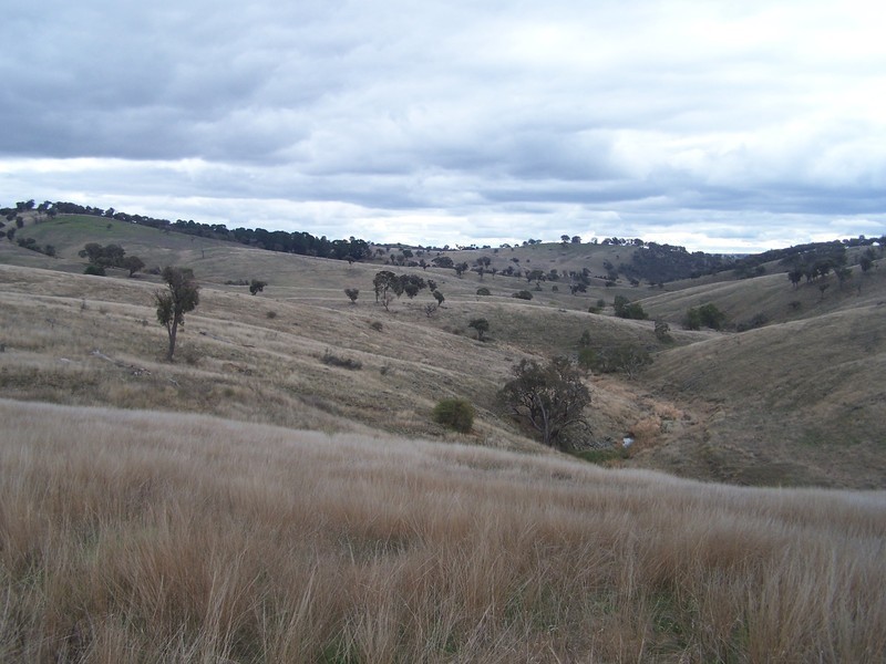 Lot 219 Off Golspie Road, Laggan NSW 2583