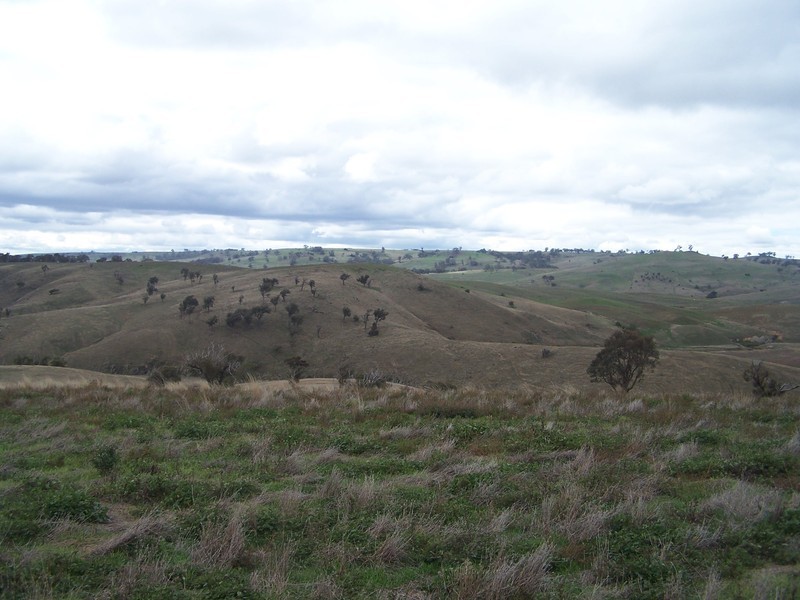Lot 219 Off Golspie Road, Laggan NSW 2583