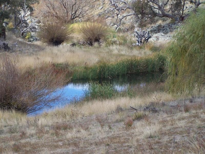 2580  Golspie Road, Golspie NSW 2580