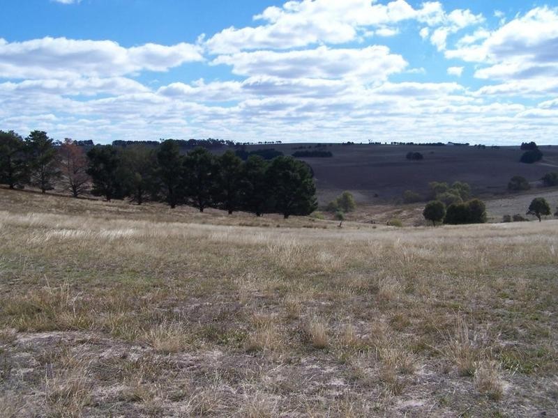 2580  Golspie Road, Golspie NSW 2580