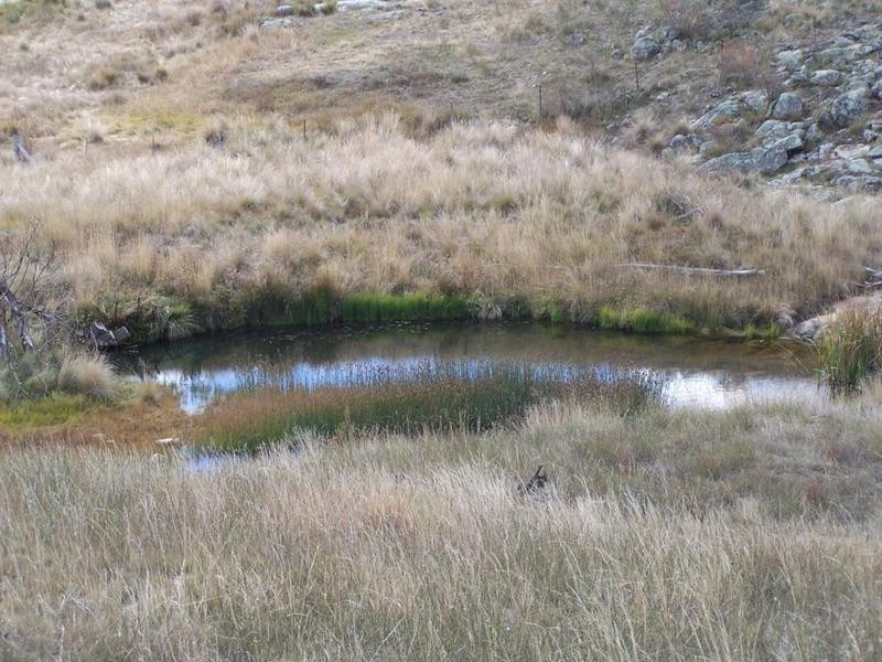 2580  Golspie Road, Golspie NSW 2580